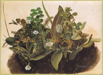 El mechón de hierba MENOR Albrecht Durer Pinturas al óleo